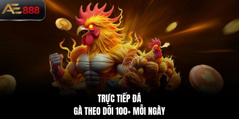 Trực tiếp đá gà theo dõi 100+ mỗi ngày